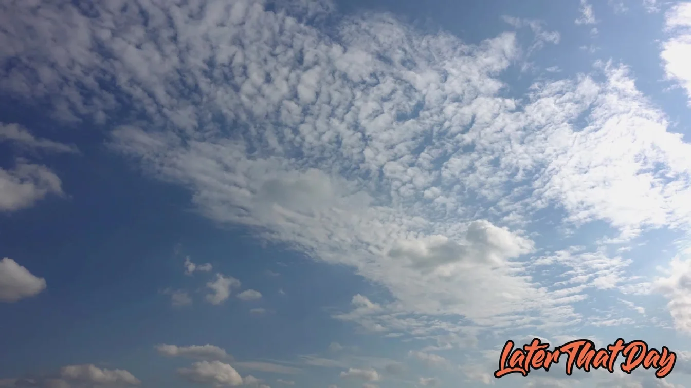 BrattySis Haley Spades Stepsisters New Dick Muzzle XXX